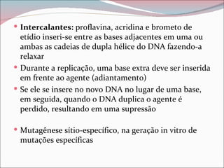  Intercalantes: proflavina, acridina e brometo de
  etídio inseri-se entre as bases adjacentes em uma ou
  ambas as cadeias de dupla hélice do DNA fazendo-a
  relaxar
 Durante a replicação, uma base extra deve ser inserida
  em frente ao agente (adiantamento)
 Se ele se insere no novo DNA no lugar de uma base,
  em seguida, quando o DNA duplica o agente é
  perdido, resultando em uma supressão

 Mutagênese sítio-específico, na geração in vitro de
 mutações específicas
 