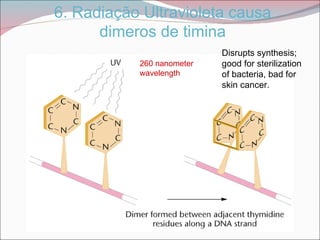 6. Radiação Ultravioleta causa
      dimeros de timina
                           Disrupts synthesis;
           260 nanometer   good for sterilization
           wavelength      of bacteria, bad for
                           skin cancer.
 