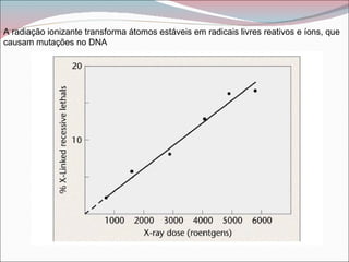 A radiação ionizante transforma átomos estáveis ​em radicais livres reativos e íons, que
causam mutações no DNA
 