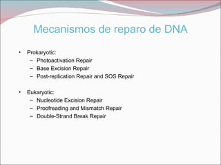 Mecanismos de reparo de DNA
•   Prokaryotic:
     – Photoactivation Repair
     – Base Excision Repair
     – Post-replication Repair and SOS Repair

•   Eukaryotic:
     – Nucleotide Excision Repair
     – Proofreading and Mismatch Repair
     – Double-Strand Break Repair
 