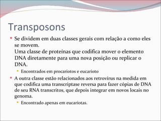 Transposons
 Se dividem em duas classes gerais com relação a como eles
  se movem.
  Uma classe de proteínas que codifica mover o elemento
  DNA diretamente para uma nova posição ou replicar o
  DNA.
    Encontrados em procariotos e eucarioto
 A outra classe estão relacionados aos retrovírus na medida em
  que codifica uma transcriptase reversa para fazer cópias de DNA
  de seu RNA transcritos, que depois integrar em novos locais no
  genoma.
    Encontrado apenas em eucariotas.
 