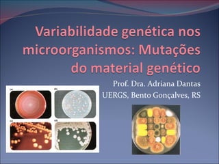 Prof. Dra. Adriana Dantas
UERGS, Bento Gonçalves, RS
 