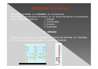 Mutações Estruturais
Alterações na forma ou no tamanho de cromossomos.
Decorrentes de alterações no número ou no arranjo dos genes no cromossomo.
Podem ser classificadas em:     1. Deleção
                                2. Translocação
                                3. Inversão
                                4. Duplicação

                               1. Deleção

Perda de uma parte do cromossomo, podendo ser terminal ou intercalar.
Ex: síndrome do miado de gato e leucemia mieloide.
 