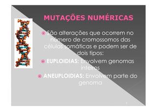 São alterações que ocorrem no
  número de cromossomos das
células somáticas e podem ser de
            dois tipos:
 EUPLOIDIAS: Envolvem genomas
             inteiros
ANEUPLOIDIAS: Envolvem parte do
            genoma


                            4
 
