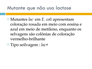 Mutante que não usa lactose
 Mutantes lac- em E. coli apresentam
  coloração rosada em meio com eosina e
  azul em meio de metileno, enquanto os
  selvagens são colônias de coloração
  vermelho-brilhante
 Tipo seilvagem : lac+
 