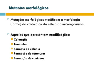 Mutantes morfológicos

   Mutações morfológicas modificam a morfologia
    (forma) da colônia ou da célula do microrganismo.

   Aqueles que apresentam modificações:
     Coloração
     Tamanho

     Formato da colônia

     Formação de estruturas

     Formação de conídeos
 