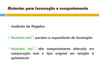 Mutantes para locomoção e comportamento


   Ausência de flagelos:

   Mutantes mot¯: perdem a capacidade de locomoção

   Mutantes che¯: têm comportamento alterado em
    comparação com o tipo original em relação à
    quimiotaxia
 