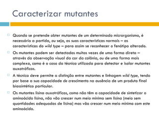 Caracterizar mutantes
   Quando se pretende obter mutantes de um determinado microrganismo, é
    necessário a partida, ou seja, as suas características normais – as
    características do wild type – para assim se reconhecer o fenótipo alterado.
   Os mutantes podem ser detectados muitas vezes de uma forma direta –
    através da observação visual da cor da colônia, ou de uma forma mais
    complexa, como é o caso da técnica utilizada para detectar e isolar mutantes
    auxotróficos.
   A técnica deve permite a distinção entre mutantes e linhagem wild type, tendo
    por base a sua capacidade de crescimento na ausência de um produto final
    biossintético particular.
   Os mutantes lisina auxotróficos, como não têm a capacidade de sintetizar o
    aminoácido lisina, não vão crescer num meio mínimo sem lisina (meio sem
    quantidades adequadas de lisina) mas vão crescer num meio mínimo com este
    aminoácido.
 
