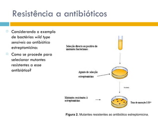 Resistência a antibióticos
   Considerando o exemplo
    de bactérias wild type
    sensíveis ao antibiótico
    estreptomicina:
   Como se procede para
    selecionar mutantes
    resistentes a esse
    antibiótico?




                               Figura 2. Mutantes resistentes ao antibiótico estreptomicina.
 