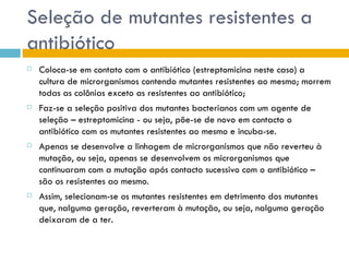 Seleção de mutantes resistentes a
antibiótico
   Coloca-se em contato com o antibiótico (estreptomicina neste caso) a
    cultura de microrganismos contendo mutantes resistentes ao mesmo; morrem
    todas as colônias exceto as resistentes ao antibiótico;
   Faz-se a seleção positiva dos mutantes bacterianos com um agente de
    seleção – estreptomicina - ou seja, põe-se de novo em contacto o
    antibiótico com os mutantes resistentes ao mesmo e incuba-se.
   Apenas se desenvolve a linhagem de microrganismos que não reverteu à
    mutação, ou seja, apenas se desenvolvem os microrganismos que
    continuaram com a mutação após contacto sucessivo com o antibiótico –
    são os resistentes ao mesmo.
   Assim, selecionam-se os mutantes resistentes em detrimento dos mutantes
    que, nalguma geração, reverteram à mutação, ou seja, nalguma geração
    deixaram de a ter.
 