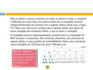    Não se obtém o mesmo resultado em todas as placas ou seja, o resultado
    é diferente em cada tubo. Isto mostra então que as mutações ocorrem
    independentemente do contacto com o agente seletor (neste caso o fago
    T1). Não é por não haver contacto com o agente seletor que deixa de
    haver mutações de resistência. Então, a que se deve a variação?
   As mutações ocorrem espontaneamente, quando ocorre a replicação do
    DNA durante o crescimento. São variáveis, aleatórias, não precisam do
    agente seletor, é uma questão de probabilidade. Neste caso, ocorreram
    várias mutações de 103 bact./mL para 109 bact./mL.

      Figura 6 – Teste de
      flutuação. Quanto mais
      cedo ocorre a mutação,
      maior será o número
      de mutantes nas
      Caixas.
 