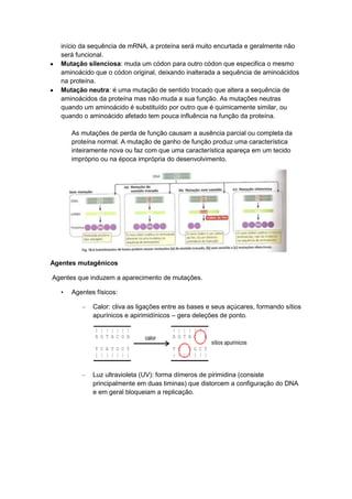 início da sequência de mRNA, a proteína será muito encurtada e geralmente não
será funcional.
Mutação silenciosa: muda um códon para outro códon que especifica o mesmo
aminoácido que o códon original, deixando inalterada a sequência de aminoácidos
na proteína.
Mutação neutra: é uma mutação de sentido trocado que altera a sequência de
aminoácidos da proteína mas não muda a sua função. As mutações neutras
quando um aminoácido é substituído por outro que é quimicamente similar, ou
quando o aminoácido afetado tem pouca influência na função da proteína.
As mutações de perda de função causam a ausência parcial ou completa da
proteína normal. A mutação de ganho de função produz uma característica
inteiramente nova ou faz com que uma característica apareça em um tecido
impróprio ou na época imprópria do desenvolvimento.

Agentes mutagênicos
Agentes que induzem a aparecimento de mutações.
•

Agentes físicos:
–

Calor: cliva as ligações entre as bases e seus açúcares, formando sítios
apurínicos e apirimidínicos – gera deleções de ponto.

–

Luz ultravioleta (UV): forma dímeros de pirimidina (consiste
principalmente em duas timinas) que distorcem a configuração do DNA
e em geral bloqueiam a replicação.

 