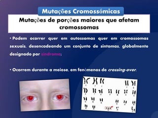 Mutações Cromossómicas
    Mutações de porções maiores que afetam
                 cromossomas
• Podem ocorrer quer em autossomas quer em cromossomas
sexuais, desencadeando um conjunto de sintomas, globalmente
designado por síndroma;


• Ocorrem durante a meiose, em fenómenos de crossing-over.
 