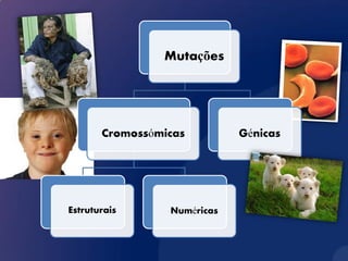 Mutações




       Cromossómicas         Génicas




Estruturais      Numéricas
 