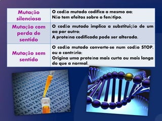 Mutação     O codão mutado codifica o mesmo aa;
 silenciosa   Não tem efeitos sobre o fenótipo.

Mutação com   O codão mutado implica a substituição de um
 perda de     aa por outro;
              A proteína codificada pode ser alterada.
  sentido
              O codão mutado converte-se num codão STOP,
Mutação sem   ou o contrário;
  sentido     Origina uma proteína mais curta ou mais longa
              do que a normal.
 