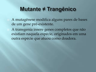    A mutagênese modifica alguns pares de bases
    de um gene pré-existente.
   A transgenia insere genes completos que não
    existiam naquela espécie, originados em uma
    outra espécie que atuou como doadora.
 
