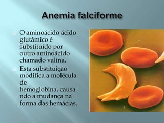    O aminoácido ácido
    glutâmico é
    substituído por
    outro aminoácido
    chamado valina.
   Esta substituição
    modifica a molécula
    de
    hemoglobina, causa
    ndo a mudança na
    forma das hemácias.
 