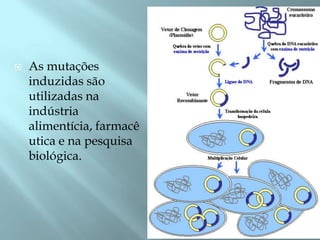    As mutações
    induzidas são
    utilizadas na
    indústria
    alimentícia, farmacê
    utica e na pesquisa
    biológica.
 