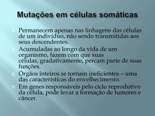    Permanecem apenas nas linhagens das células
    de um indivíduo, não sendo transmitidas aos
    seus descendentes.
   Acumuladas ao longo da vida de um
    organismo, fazem com que suas
    células, gradativamente, percam parte de suas
    funções.
   Órgãos inteiros se tornam ineficientes – uma
    das características do envelhecimento.
   Em genes responsáveis pelo ciclo reprodutivo
    da célula, pode levar a formação de tumores e
    câncer.
 