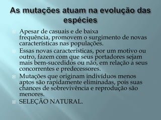    Apesar de casuais e de baixa
    frequência, promovem o surgimento de novas
    características nas populações.
   Essas novas características, por um motivo ou
    outro, fazem com que seus portadores sejam
    mais bem-sucedidos ou não, em relação a seus
    concorrentes e predecessores.
   Mutações que originam indivíduos menos
    aptos são rapidamente eliminadas, pois suas
    chances de sobrevivência e reprodução são
    menores.
   SELEÇÃO NATURAL.
 