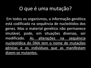O que é uma mutação?
Em todos os organismos, a informação genética
está codificada na sequência de nucleótidos dos
genes. Mas o material genético não permanece
imutável, pode, em situações diversas, ser
modificado. As alterações na sequência
nucleotídica do DNA tem o nome de mutações
génicas e os indivíduos que as manifestam
dizem-se mutantes.
 
