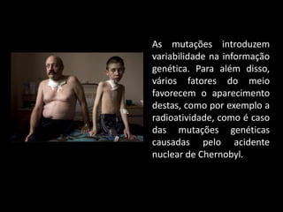 As mutações introduzem
variabilidade na informação
genética. Para além disso,
vários fatores do meio
favorecem o aparecimento
destas, como por exemplo a
radioatividade, como é caso
das mutações genéticas
causadas pelo acidente
nuclear de Chernobyl.
 