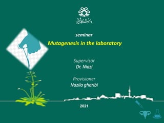 seminar
Mutagenesis in the laboratory
Supervisor
Dr. Niazi
Provisioner
Nazila gharibi
2021
 