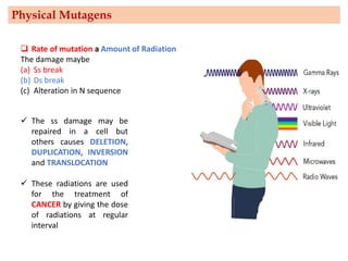 ❑ Rate of mutation a Amount of Radiation
The damage maybe
(a) Ss break
(b) Ds break
(c) Alteration in N sequence
✓ The ss damage may be
repaired in a cell but
others causes DELETION,
DUPLICATION, INVERSION
and TRANSLOCATION
✓ These radiations are used
for the treatment of
CANCER by giving the dose
of radiations at regular
interval
Physical Mutagens
 