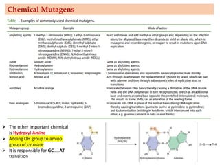 ➢ The other important chemical
is Hydroxyl Amine
➢ Adding OH group to amino
group of cytosine
➢ It is responsible for GC…..AT
transition
Chemical Mutagens
 