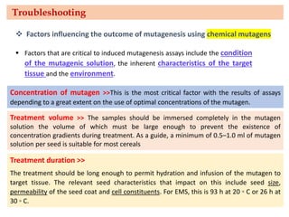 Troubleshooting
▪ Factors that are critical to induced mutagenesis assays include the condition
of the mutagenic solution, the inherent characteristics of the target
tissue and the environment.
❖ Factors influencing the outcome of mutagenesis using chemical mutagens
Concentration of mutagen >>This is the most critical factor with the results of assays
depending to a great extent on the use of optimal concentrations of the mutagen.
Treatment volume >> The samples should be immersed completely in the mutagen
solution the volume of which must be large enough to prevent the existence of
concentration gradients during treatment. As a guide, a minimum of 0.5–1.0 ml of mutagen
solution per seed is suitable for most cereals
Treatment duration >>
The treatment should be long enough to permit hydration and infusion of the mutagen to
target tissue. The relevant seed characteristics that impact on this include seed size,
permeability of the seed coat and cell constituents. For EMS, this is 93 h at 20 ◦ C or 26 h at
30 ◦ C.
 