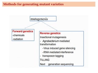 Methods for generating mutant varieties
 