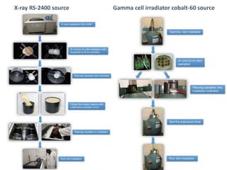 X-ray RS-2400 source Gamma cell irradiator cobalt-60 source
 