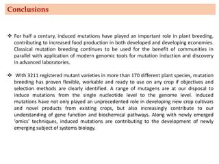 Conclusions
❖ For half a century, induced mutations have played an important role in plant breeding,
contributing to increased food production in both developed and developing economies.
Classical mutation breeding continues to be used for the benefit of communities in
parallel with application of modern genomic tools for mutation induction and discovery
in advanced laboratories.
❖ With 3211 registered mutant varieties in more than 170 different plant species, mutation
breeding has proven flexible, workable and ready to use on any crop if objectives and
selection methods are clearly identified. A range of mutagens are at our disposal to
induce mutations from the single nucleotide level to the genome level. Induced
mutations have not only played an unprecedented role in developing new crop cultivars
and novel products from existing crops, but also increasingly contribute to our
understanding of gene function and biochemical pathways. Along with newly emerged
‘omics’ techniques, induced mutations are contributing to the development of newly
emerging subject of systems biology.
 