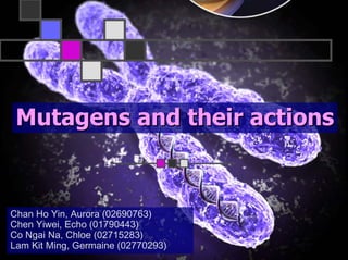 Mutagensand their actions 
Mutagens and Chan Ho Yin, Aurora (02690763) 
Chen Yiwei, Echo (01790443) 
Co NgaiNa, Chloe (02715283) 
Lam Kit Ming,Germaine(02770293)  