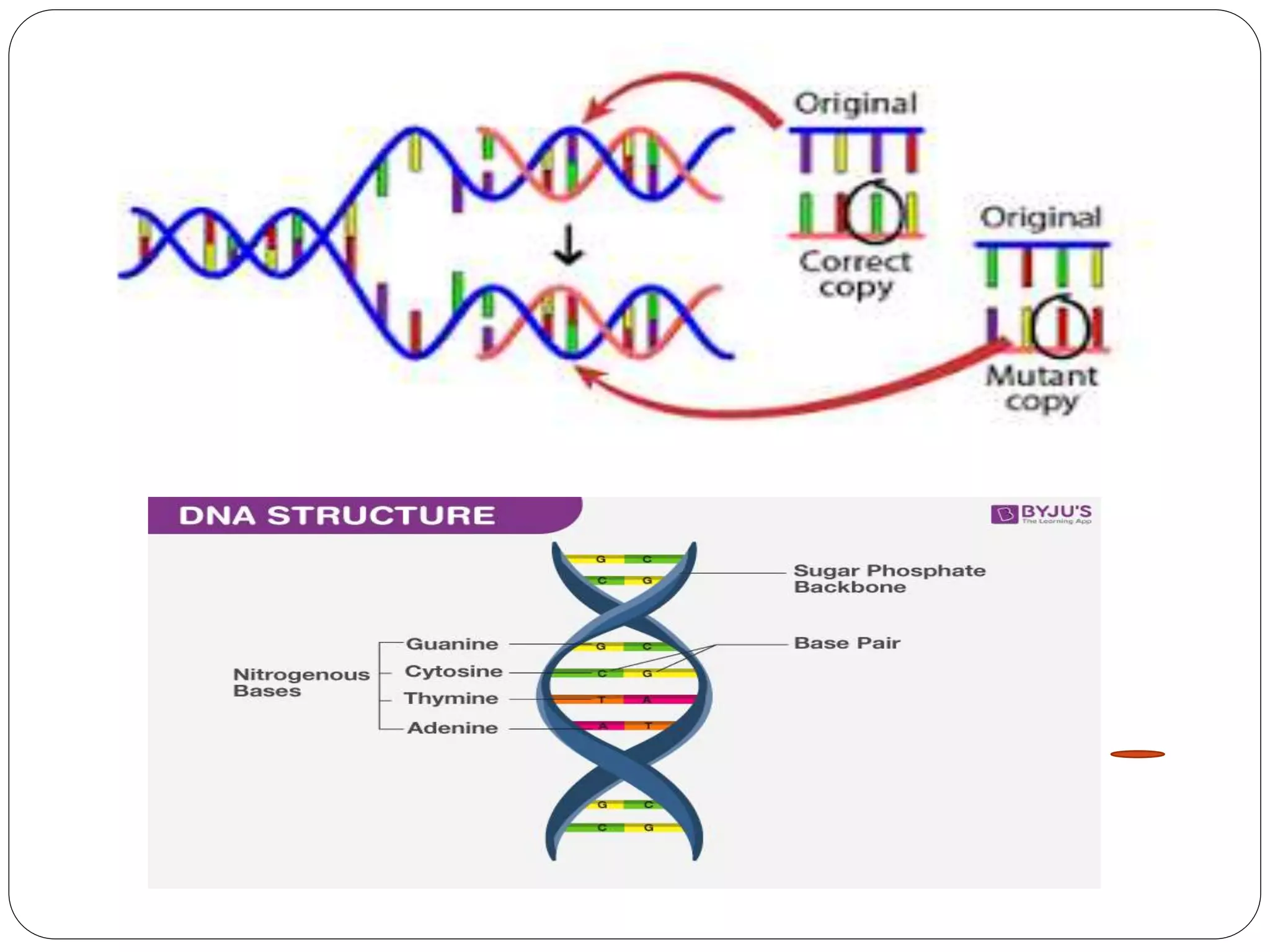 Mutagenic agent and their role in biology.pptx