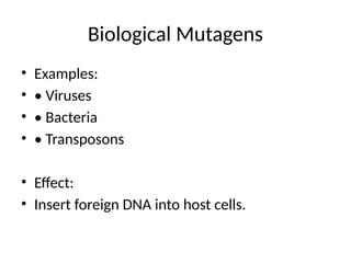 Understanding Mutagenic Environmental Factors and Their Impact on DNA ...