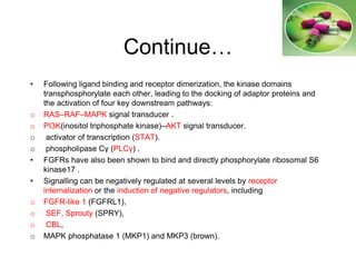 Continue…
• Following ligand binding and receptor dimerization, the kinase domains
transphosphorylate each other, leading to the docking of adaptor proteins and
the activation of four key downstream pathways:
o RAS–RAF–MAPK signal transducer .
o PI3K(inositol triphosphate kinase)–AKT signal transducer.
o activator of transcription (STAT).
o phospholipase Cγ (PLCγ) .
• FGFRs have also been shown to bind and directly phosphorylate ribosomal S6
kinase17 .
• Signalling can be negatively regulated at several levels by receptor
internalization or the induction of negative regulators, including
o FGFR-like 1 (FGFRL1),
o SEF, Sprouty (SPRY),
o CBL,
o MAPK phosphatase 1 (MKP1) and MKP3 (brown).
 