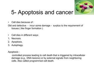 5- Apoptosis and cancer
• Cell dies because of :
Old and defective - incur some damage - surplus to the requirement of
tissues ( like finger formation )
• Cell dies in different ways:
1. Necrosis.
2. Apoptosis.
3. Autophagy.
Apoptosis :
controlled process leading to cell death that is triggered by intracellular
damage (e.g., DNA lesions) or by external signals from neighboring
cells. Also called programmed cell death.
 
