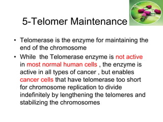 5-Telomer Maintenance
• Telomerase is the enzyme for maintaining the
end of the chromosome
• While the Telomerase enzyme is not active
in most normal human cells , the enzyme is
active in all types of cancer , but enables
cancer cells that have telomerase too short
for chromosome replication to divide
indefinitely by lengthening the telomeres and
stabilizing the chromosomes
 