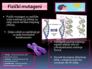 Mobiteli oštećuju spolne
stanice?
 Oštećenje spolnih
stanica
 Fragmentaciju DNA
 Biološku srmt ćelije
 Eksperimenti su...