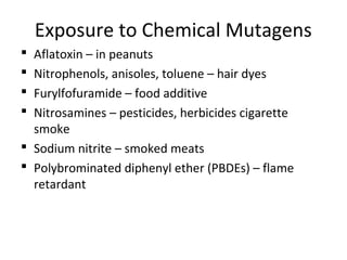 Mutagens and carcinogen | PPT
