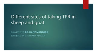 Different sites of taking TPR in
sheep and goat
SUBMITTED TO: DR. HAFIZ MANZOOR
SUBMITTED BY: M. MUTAHIR REHMAN
 