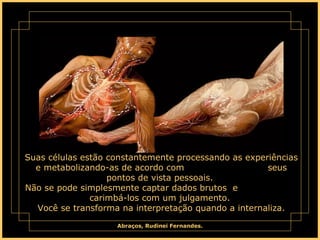Suas células estão constantemente processando as experiências e metabolizando-as de acordo com  seus pontos de vista pessoais.  Não se pode simplesmente captar dados brutos  e  carimbá-los com um julgamento.  Você se transforma na interpretação quando a internaliza. 