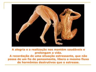 A alegria e a realização nos mantém saudáveis e prolongam a vida. A recordação de uma situação estressante, que não passa de um fio de pensamento, libera o mesmo fluxo de hormônios destrutivos que o estresse. 
