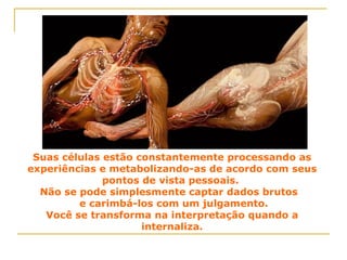 Suas células estão constantemente processando as experiências e metabolizando-as de acordo com seus pontos de vista pessoais.  Não se pode simplesmente captar dados brutos  e carimbá-los com um julgamento.  Você se transforma na interpretação quando a internaliza. 