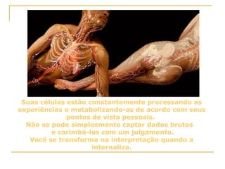 Suas células estão constantemente processando as experiências e metabolizando-as de acordo com seus pontos de vista pessoais.  Não se pode simplesmente captar dados brutos  e carimbá-los com um julgamento.  Você se transforma na interpretação quando a internaliza. 