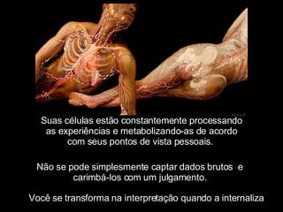 Suas células estão constantemente processando as experiências e metabolizando-as de acordo com seus pontos de vista pessoais.  Mensch Não se pode simplesmente captar dados brutos  e  carimbá-los com um julgamento.  Você se transforma na interpretação quando a internaliza 