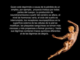 Quien está deprimido a causa de la pérdida de un empleo, por ejemplo,  proyecta tristeza por todas partes del cuerpo. La producción de neurotransmisores a partir del cerebro se altera, el nivel de hormonas varía, el ciclo del sueño es interrumpido, los receptores neuropeptídicos en la superfície externa de las células de la piel se modifican, las plaquetas sanguíneas se tornan más viscosas y más propensas a formar grumos y  hasta  sus lágrimas contienen trazos químicos diferentes al de las lágrimas de alegría.      