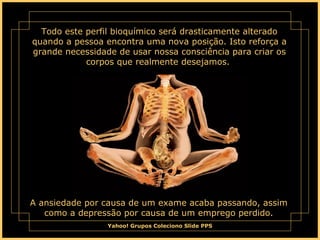 Todo este perfil bioquímico será drasticamente alterado quando a pessoa encontra uma nova posição. Isto reforça a grande necessidade de usar nossa consciência para criar os corpos que realmente desejamos.  A ansiedade por causa de um exame acaba passando, assim como a depressão por causa de um emprego perdido. 