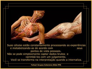 Yahoo! Grupos Coleciono Slide PPS
Suas células estão constantemente processando as experiências
e metabolizando-as de acordo com seus
pontos de vista pessoais.
Não se pode simplesmente captar dados brutos e
carimbá-los com um julgamento.
Você se transforma na interpretação quando a internaliza.
 